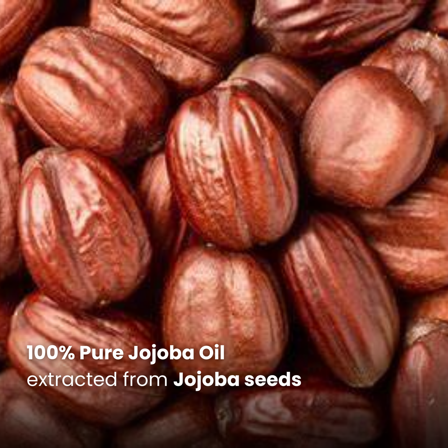 Jojoba Oil | 30ml