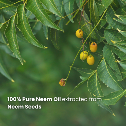 Neem Oil